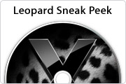 leopardsneak.jpg